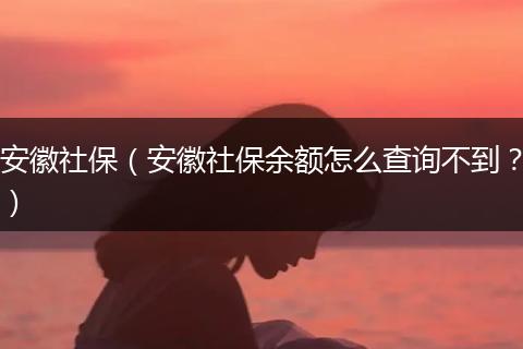 安徽社保（安徽社保余额怎么查询不到？）