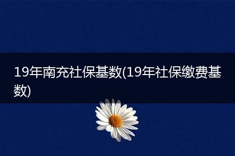 19年南充社保基数(19年社保缴费基数)