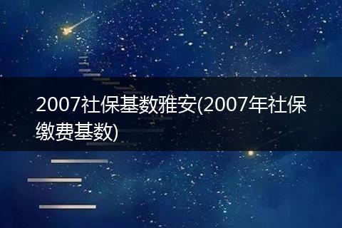 2007社保基数雅安(2007年社保缴费基数)