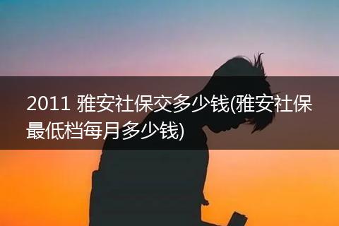 2011 雅安社保交多少钱(雅安社保最低档每月多少钱)