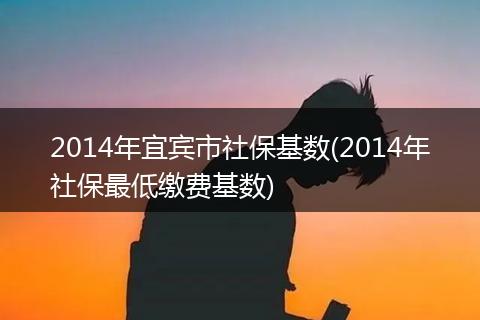 2014年宜宾市社保基数(2014年社保最低缴费基数)