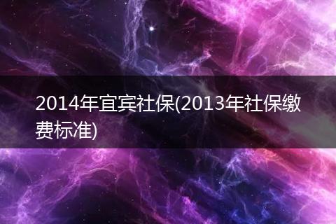 2014年宜宾社保(2013年社保缴费标准)