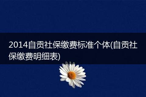 2014自贡社保缴费标准个体(自贡社保缴费明细表)