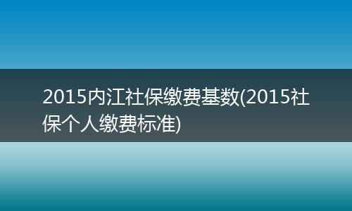 2015内江社保缴费基数(2015社保个人缴费标准)