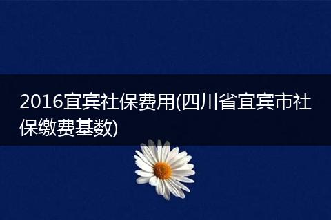 2016宜宾社保费用(四川省宜宾市社保缴费基数)