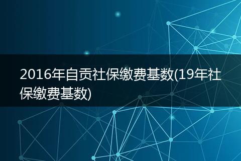 2016年自贡社保缴费基数(19年社保缴费基数)