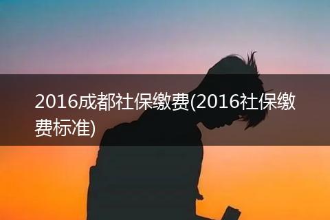 2016成都社保缴费(2016社保缴费标准)