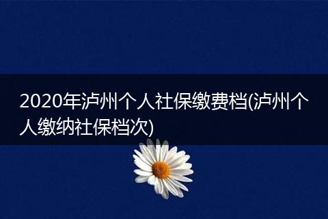 2020年泸州个人社保缴费档(泸州个人缴纳社保档次)