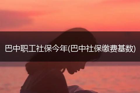 巴中职工社保今年(巴中社保缴费基数)