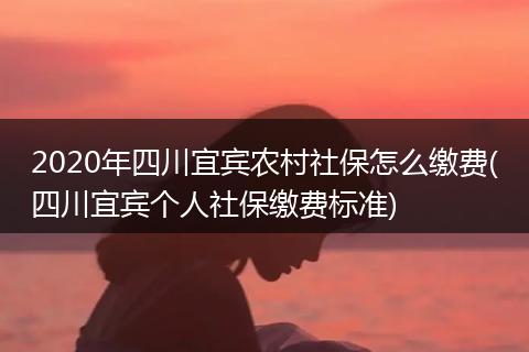 2020年四川宜宾农村社保怎么缴费(四川宜宾个人社保缴费标准)