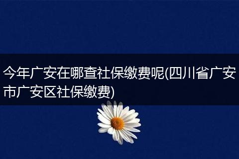 今年广安在哪查社保缴费呢(四川省广安市广安区社保缴费)
