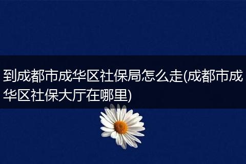 到成都市成华区社保局怎么走(成都市成华区社保大厅在哪里)