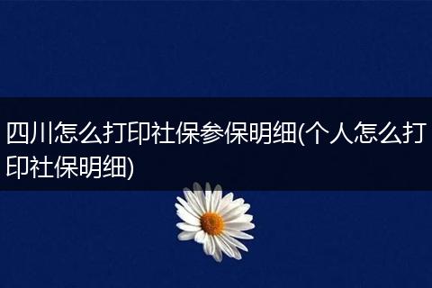 四川怎么打印社保参保明细(个人怎么打印社保明细)