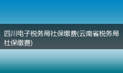 四川电子税务局社保缴费(云南省税务局社保缴费)
