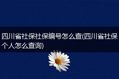 四川省社保社保编号怎么查(四川省社保个人怎么查询)