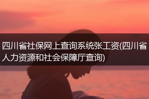 四川省社保网上查询系统张工资(四川省人力资源和社会保障厅查询)