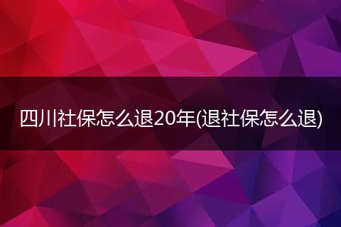 四川社保怎么退20年(退社保怎么退)