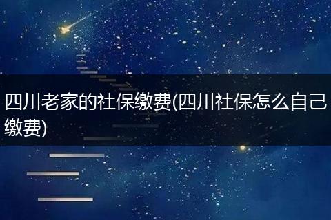 四川老家的社保缴费(四川社保怎么自己缴费)