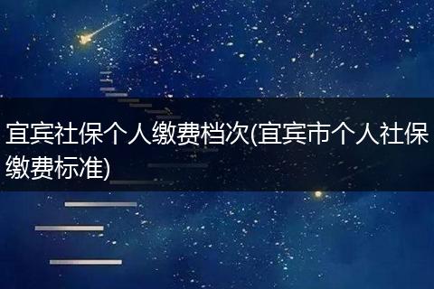 宜宾社保个人缴费档次(宜宾市个人社保缴费标准)