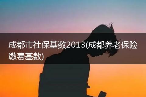 成都市社保基数2013(成都养老保险缴费基数)