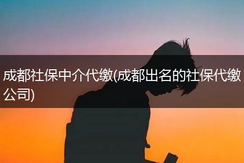 成都社保中介代缴(成都出名的社保代缴公司)