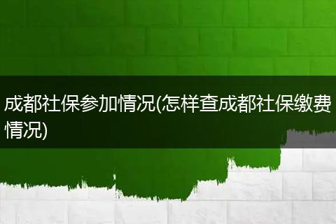 成都社保参加情况(怎样查成都社保缴费情况)