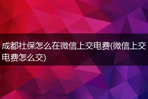 成都社保怎么在微信上交电费(微信上交电费怎么交)