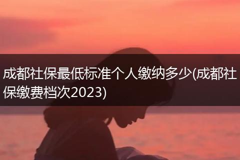 成都社保最低标准个人缴纳多少(成都社保缴费档次2023)