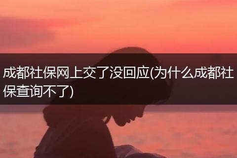 成都社保网上交了没回应(为什么成都社保查询不了)