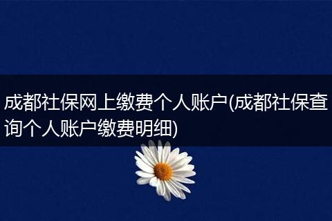 成都社保网上缴费个人账户(成都社保查询个人账户缴费明细)