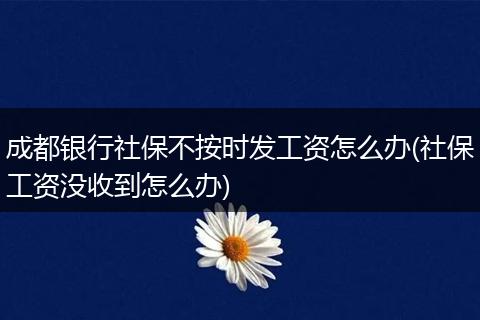 成都银行社保不按时发工资怎么办(社保工资没收到怎么办)