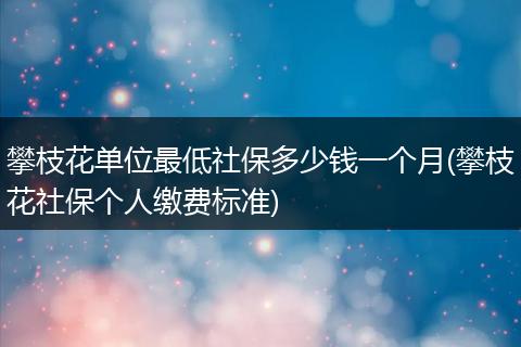 攀枝花单位最低社保多少钱一个月(攀枝花社保个人缴费标准)