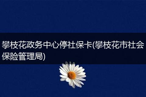 攀枝花政务中心停社保卡(攀枝花市社会保险管理局)