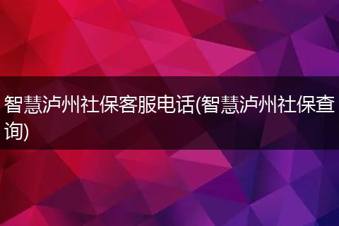 智慧泸州社保客服电话(智慧泸州社保查询)