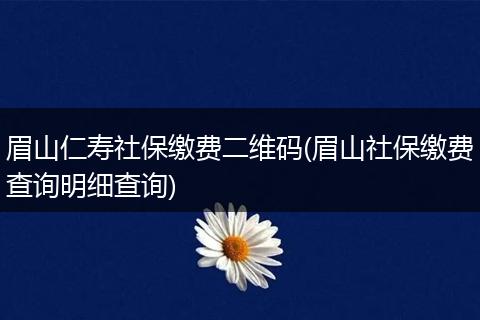眉山仁寿社保缴费二维码(眉山社保缴费查询明细查询)