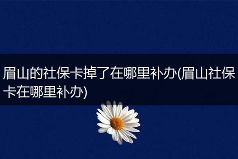 眉山的社保卡掉了在哪里补办(眉山社保卡在哪里补办)
