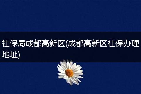 社保局成都高新区(成都高新区社保办理地址)