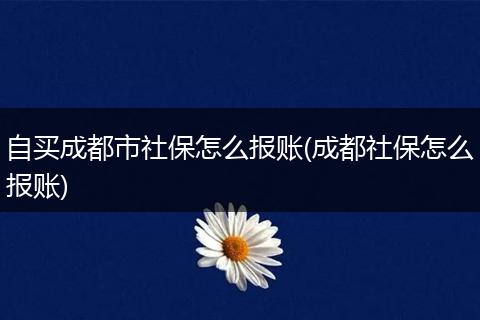 自买成都市社保怎么报账(成都社保怎么报账)