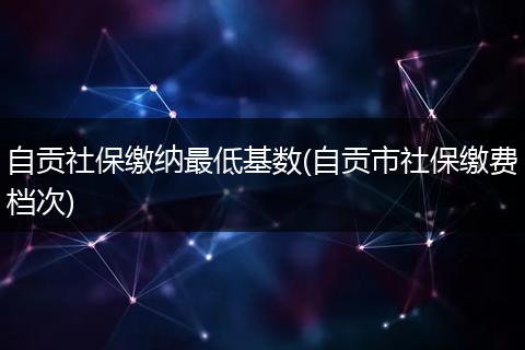 自贡社保缴纳最低基数(自贡市社保缴费档次)
