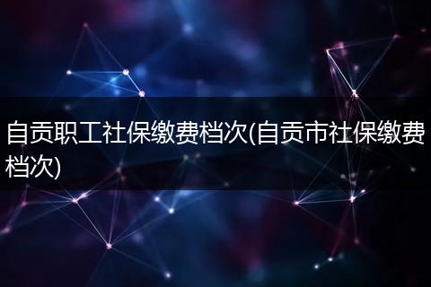 自贡职工社保缴费档次(自贡市社保缴费档次)