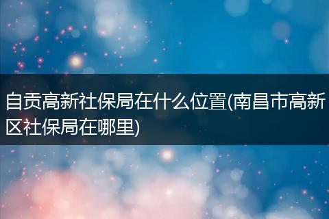 自贡高新社保局在什么位置(南昌市高新区社保局在哪里)
