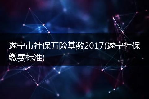 遂宁市社保五险基数2017(遂宁社保缴费标准)