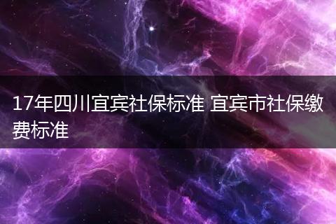17年四川宜宾社保标准 宜宾市社保缴费标准