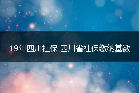 19年四川社保 四川省社保缴纳基数