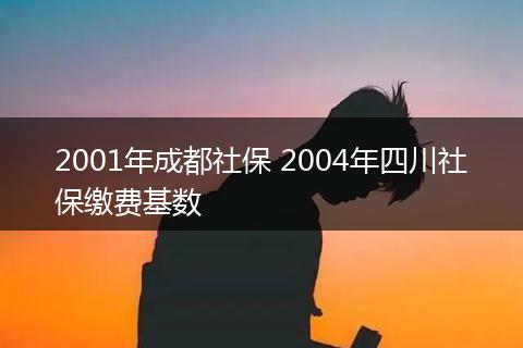 2001年成都社保 2004年四川社保缴费基数