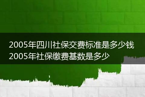 2005年四川社保交费标准是多少钱 2005年社保缴费基数是多少