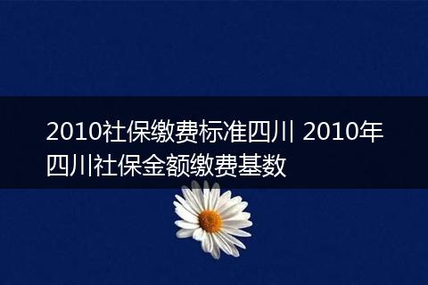 2010社保缴费标准四川 2010年四川社保金额缴费基数