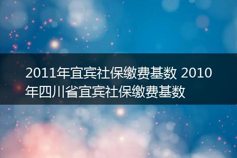 2011年宜宾社保缴费基数 2010年四川省宜宾社保缴费基数