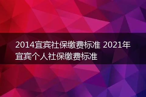 2014宜宾社保缴费标准 2021年宜宾个人社保缴费标准