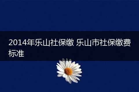 2014年乐山社保缴 乐山市社保缴费标准